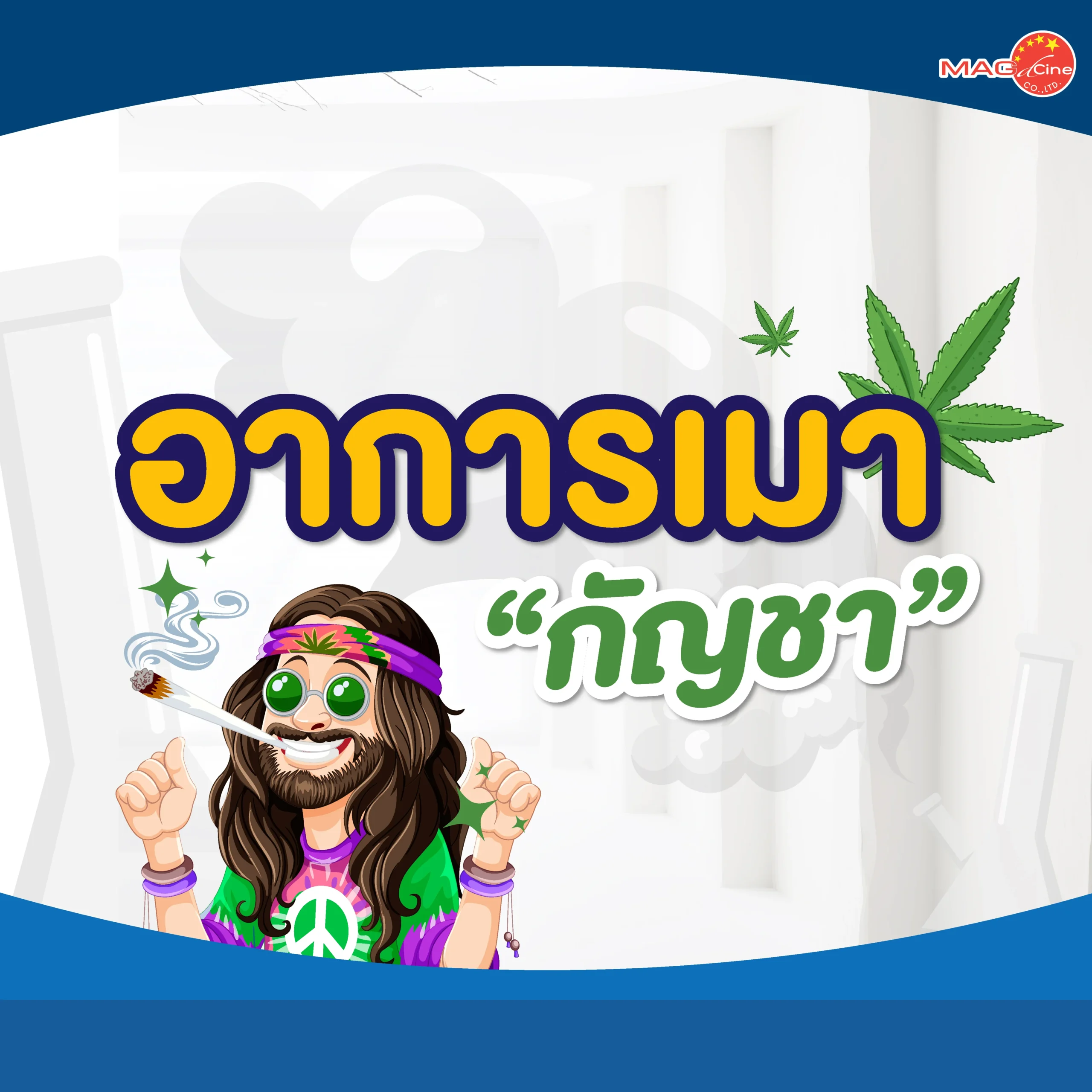 ชุดตรวจสารเสพติด ที่ตรวจสารเสพติด ชนิดจุ่ม ชนิดหยด เครื่องมือทางการแพทย์ 101 MAG 01 scaled ชุดตรวจสารเสพติด ที่ตรวจสารเสพติด ชนิดจุ่ม ชนิดหยด เครื่องมือทางการแพทย์