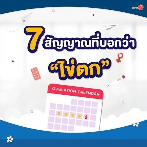 ชุดตรวจสารเสพติด ที่ตรวจสารเสพติด ชนิดจุ่ม ชนิดหยด เครื่องมือทางการแพทย์ 104 7 สัญญาณที่บอกว่า ไข่ตก