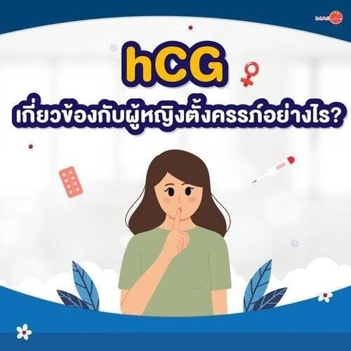 ชุดตรวจสารเสพติด ที่ตรวจสารเสพติด ชนิดจุ่ม ชนิดหยด เครื่องมือทางการแพทย์ 104 ฮอร์โมน hCG เกี่ยวข้องกับผู้หญิงตั้งครรภ์อย่างไร