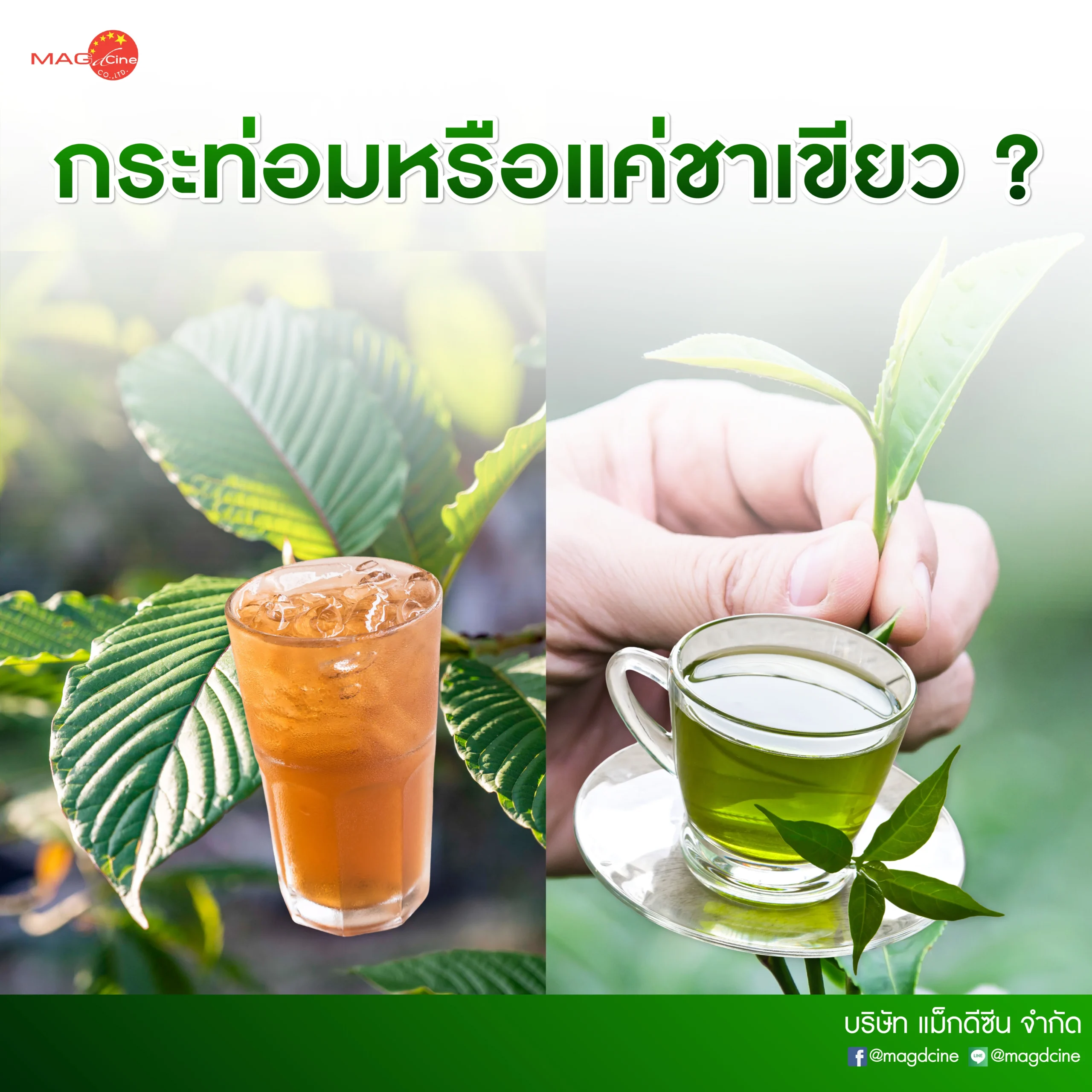 ชุดตรวจสารเสพติด ที่ตรวจสารเสพติด ชนิดจุ่ม ชนิดหยด เครื่องมือทางการแพทย์ 101 26 scaled ชุดตรวจสารเสพติด ที่ตรวจสารเสพติด ชนิดจุ่ม ชนิดหยด เครื่องมือทางการแพทย์