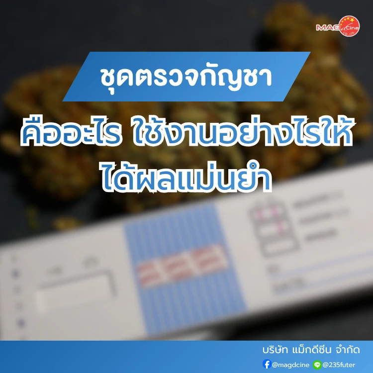 ชุดตรวจสารเสพติด ที่ตรวจสารเสพติด ชนิดจุ่ม ชนิดหยด เครื่องมือทางการแพทย์ 105 ชุดตรวจกัญชา