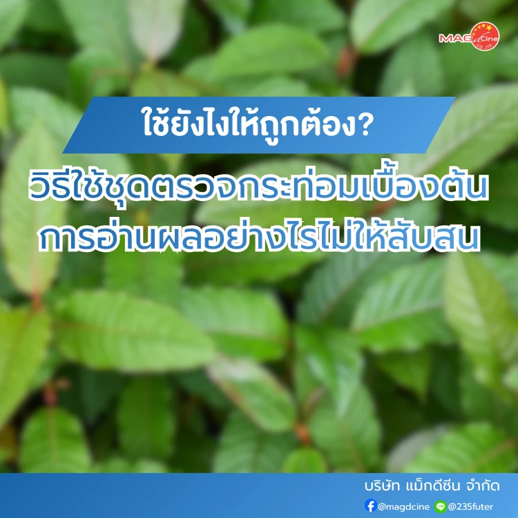 ชุดตรวจสารเสพติด ที่ตรวจสารเสพติด ชนิดจุ่ม ชนิดหยด เครื่องมือทางการแพทย์ 100 วิธีใช้ชุดตรวจกระท่อมเบื้องต้น และการอ่านผลอย่างไรไม่ให้สับสน