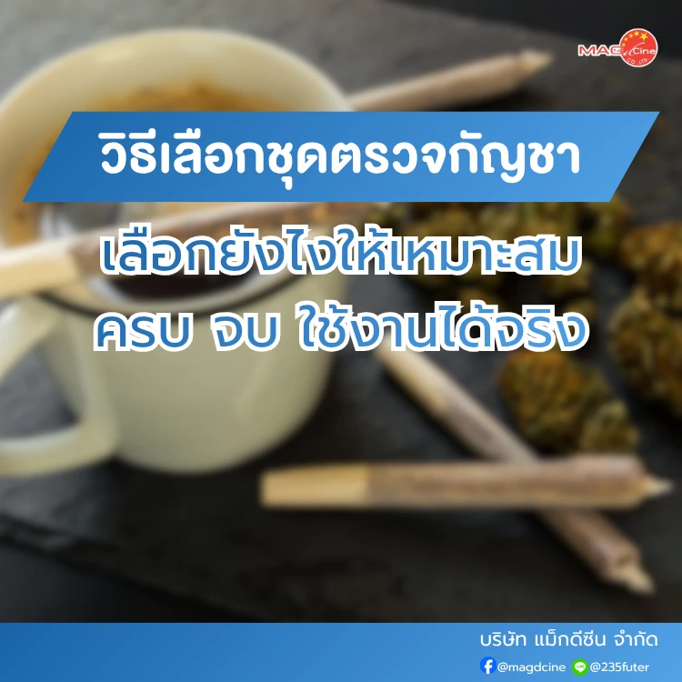 ชุดตรวจสารเสพติด ที่ตรวจสารเสพติด ชนิดจุ่ม ชนิดหยด เครื่องมือทางการแพทย์ 104 วิธีเลือกชุดตรวจกัญชา