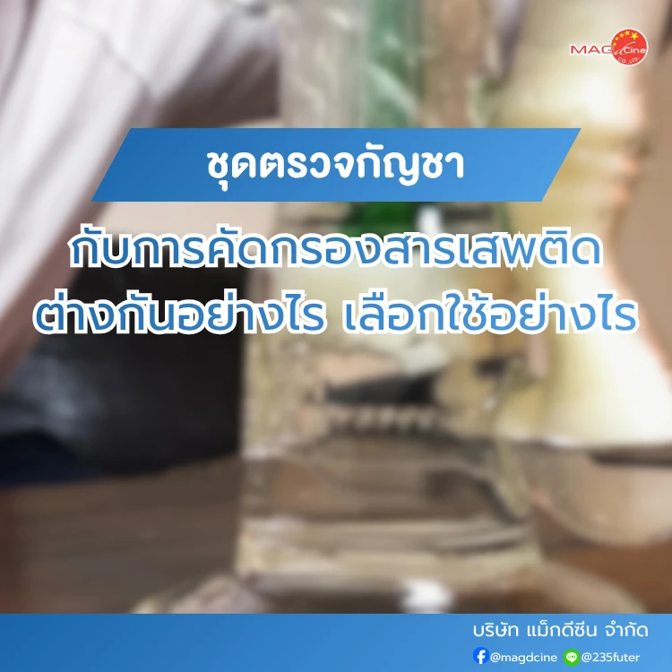 ชุดตรวจสารเสพติด ที่ตรวจสารเสพติด ชนิดจุ่ม ชนิดหยด เครื่องมือทางการแพทย์ 107 ชุดตรวจกัญชากับการคัดกรองสารเสพติดต่างกันอย่างไร